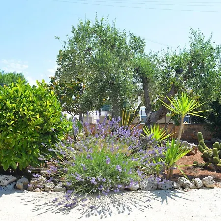 Feriehus Trullo Cittadino With Above-ground Pool In Cisternino